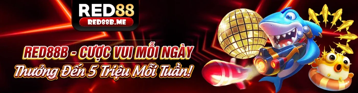 Hình ảnh đại diện cho Điều Khoản Dịch Vụ của bet169 link mới